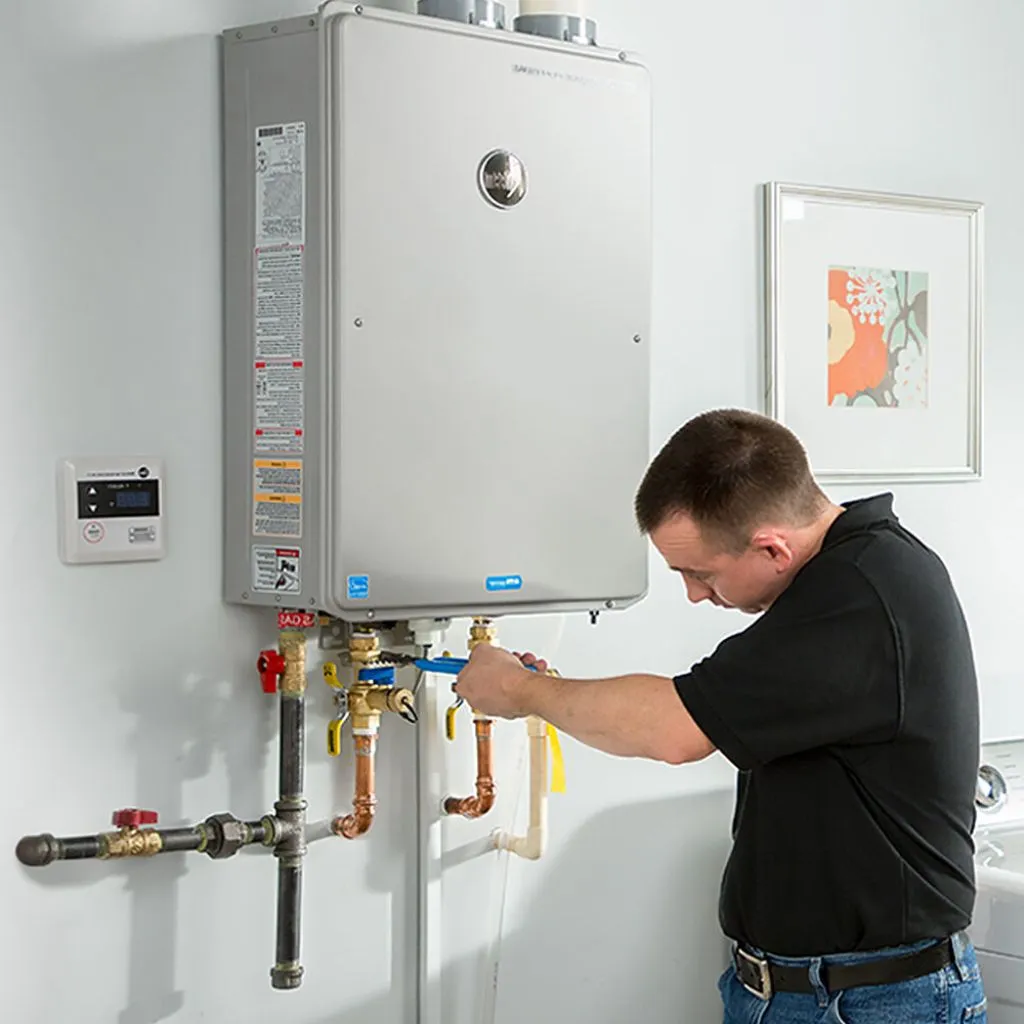 tankless water heater repair in Pleasant dale, NE